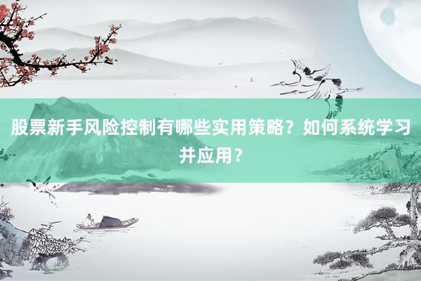 股票新手风险控制有哪些实用策略？如何系统学习并应用？