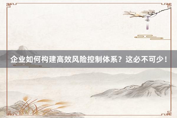企业如何构建高效风险控制体系？这必不可少！