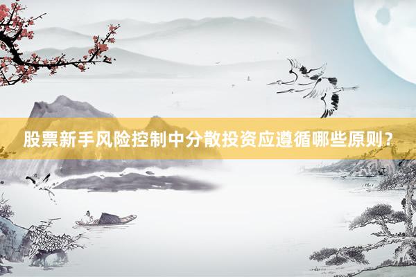 股票新手风险控制中分散投资应遵循哪些原则？