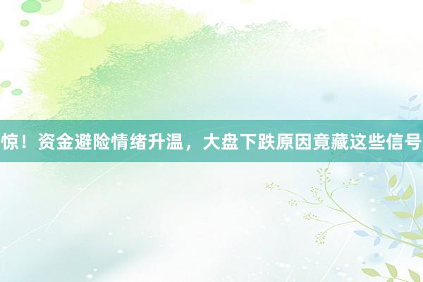 惊！资金避险情绪升温，大盘下跌原因竟藏这些信号