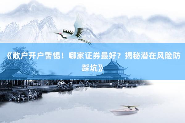 《散户开户警惕！哪家证券最好？揭秘潜在风险防踩坑》