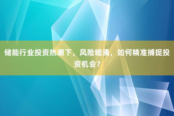 储能行业投资热潮下，风险暗涌，如何精准捕捉投资机会？