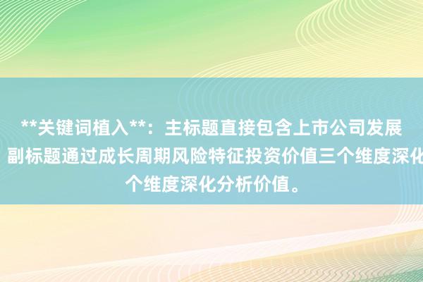 **关键词植入**：主标题直接包含上市公司发展阶段分析，副标题通过成长周期风险特征投资价值三个维度深化分析价值。